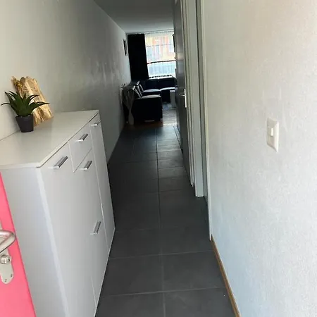 Furnished 4 Bedroom Duplex Apt 10 Mins Walking Distance To Jazz Festival *